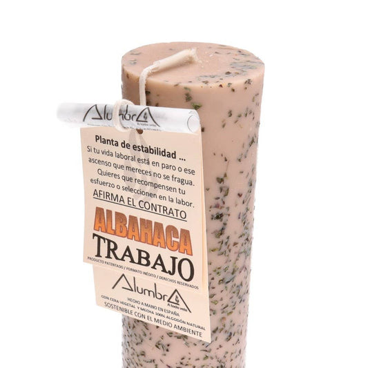 Handmade Basil Candle — Work, Promotion & Professional Recognition