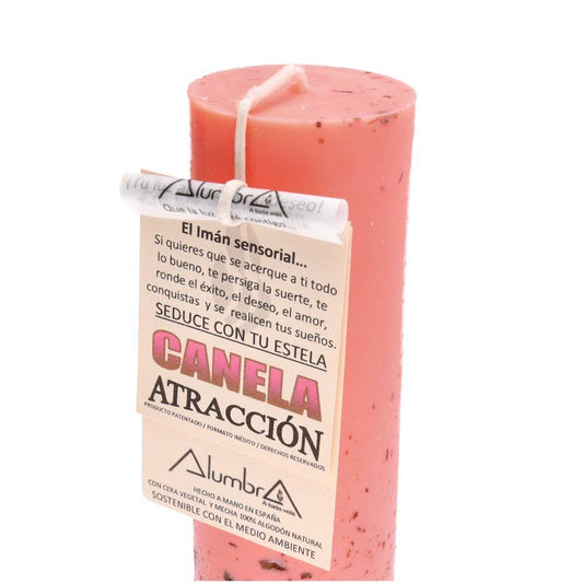 Handmade Soy Candle – Cinnamon & Attraction