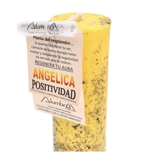 Handmade Soy Candle - Angelica & Positivity