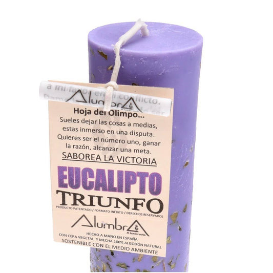 Handmade Eucalyptus Candle — Triumph, Victory & Being Number One
