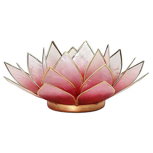 Lotus sfeerlicht rood/roze goudrand Capiz schelpen