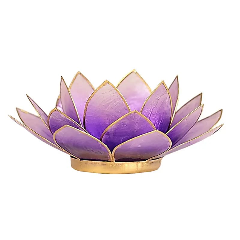 Lotus sfeerlicht violet goudrand Capiz schelpen