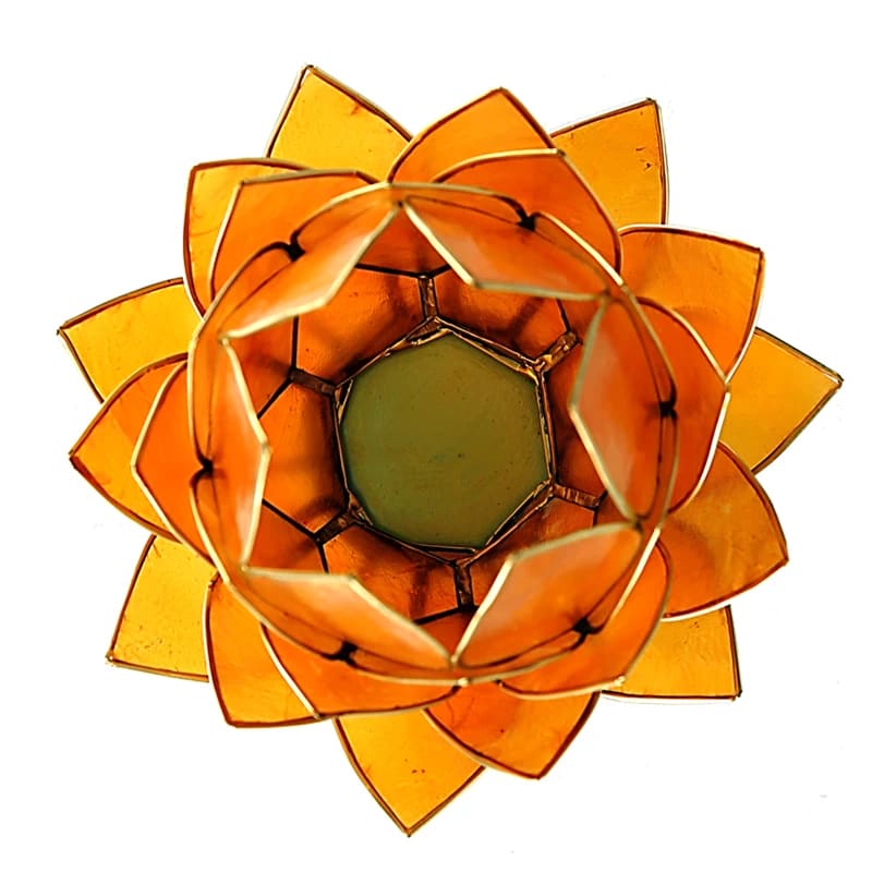 Lotus sfeerlicht oranje goudrand groot Capiz schelpen