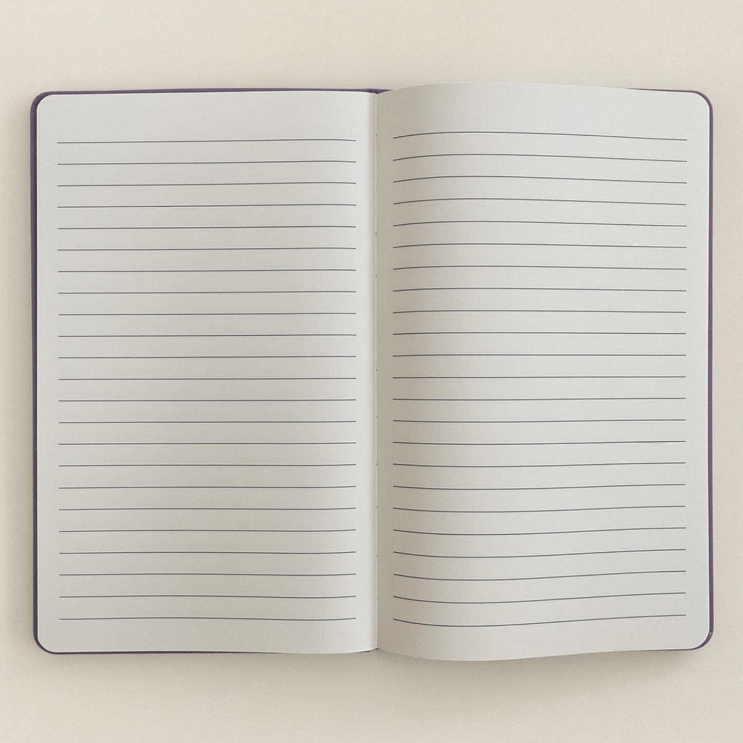 Manifestatie Paars Fluwelen Notitieboek – 80 Pagina’s – Creëer Magie