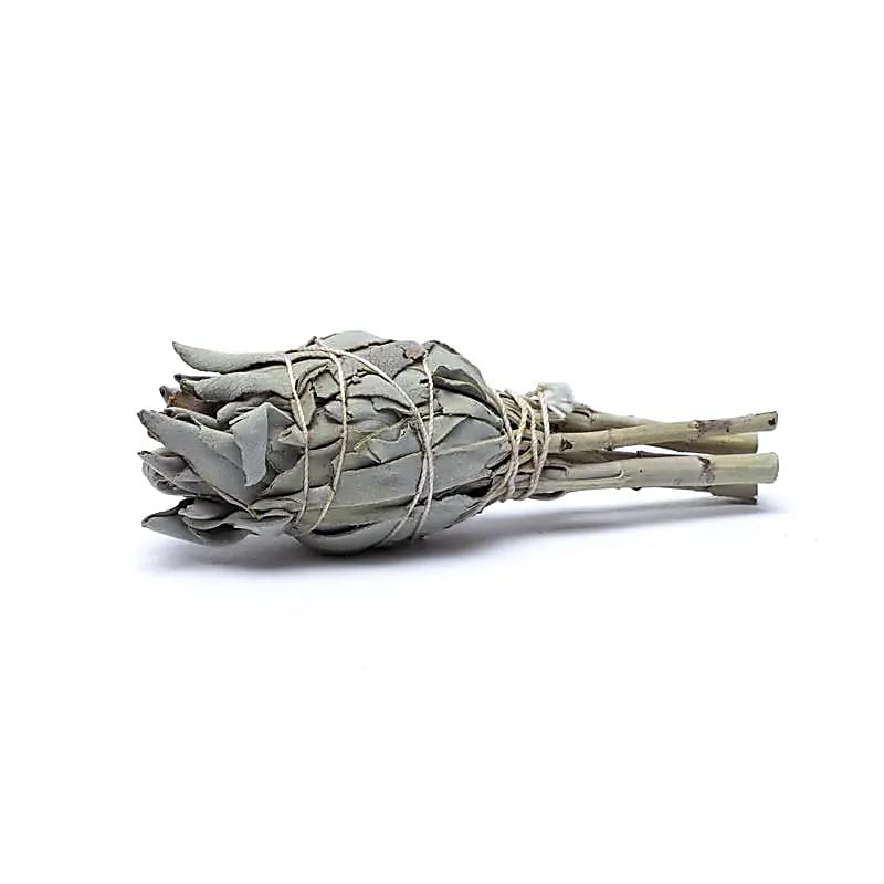 White Sage Smudge Torch | Set of 3 | Amstercharmed