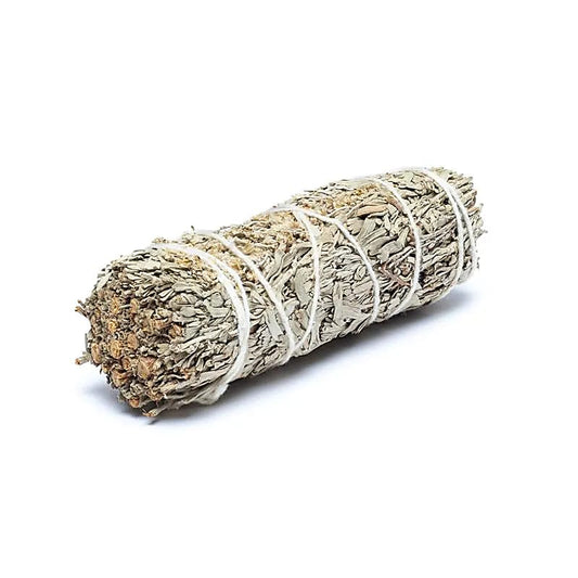 Blauer Salbei Smudge (Shasta Sage) | 2er Set (S) | Amstercharmed