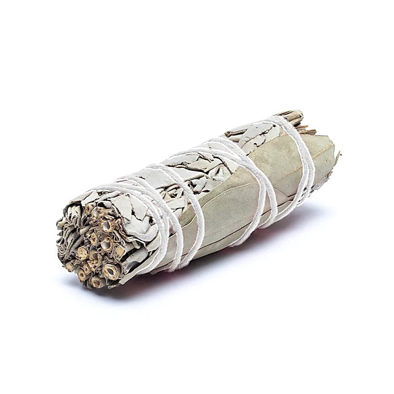 White Sage Smudge with Eucalyptus | Set of 2 (S) | Amstercharmed