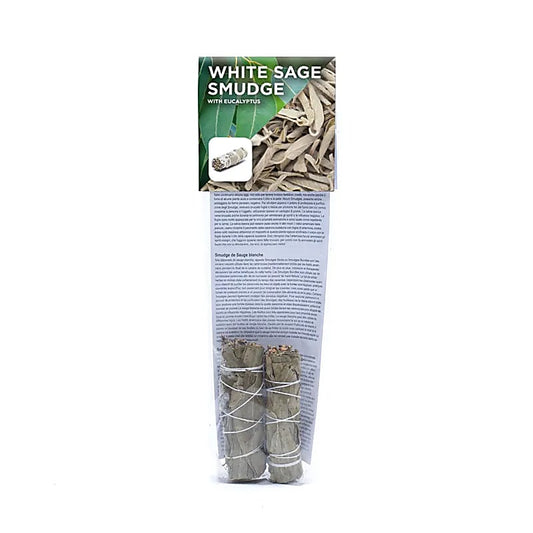 Weißer Salbei Smudge mit Eukalyptus | 2er-Set (S) | Amstercharmed