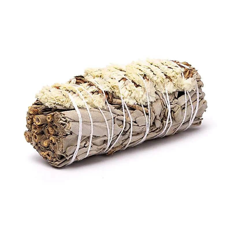 White Sage Smudge with White Sinuata | Set of 2 | Amstercharmed