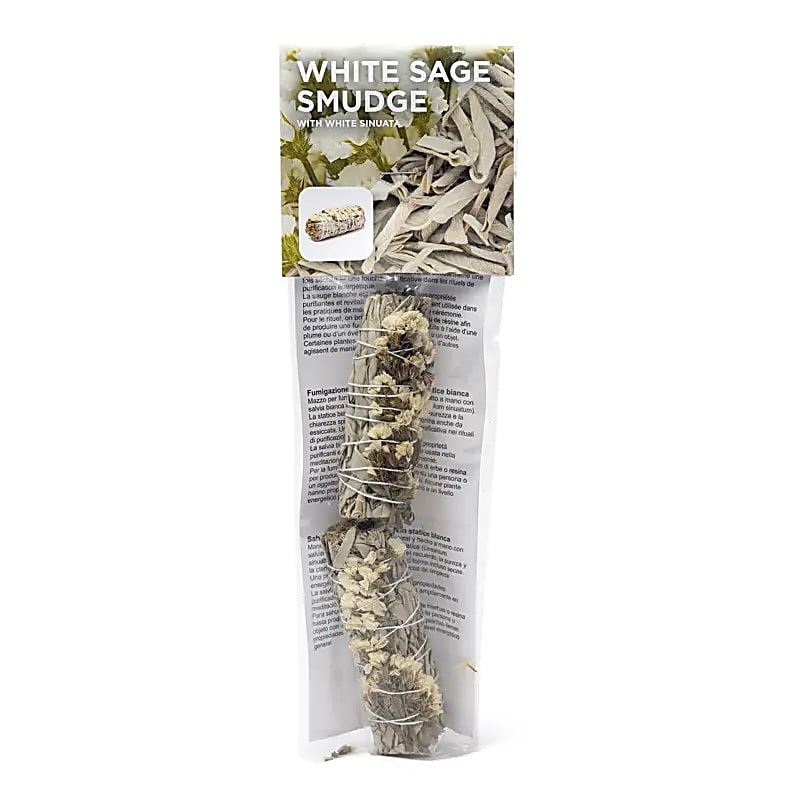 White Sage Smudge with White Sinuata | Set of 2 | Amstercharmed