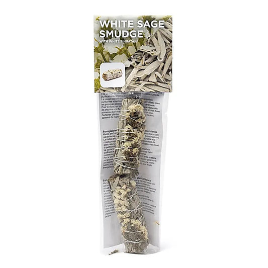 Weißer Salbei Smudge mit Weißer Sinuata | 2er Set | Amstercharmed