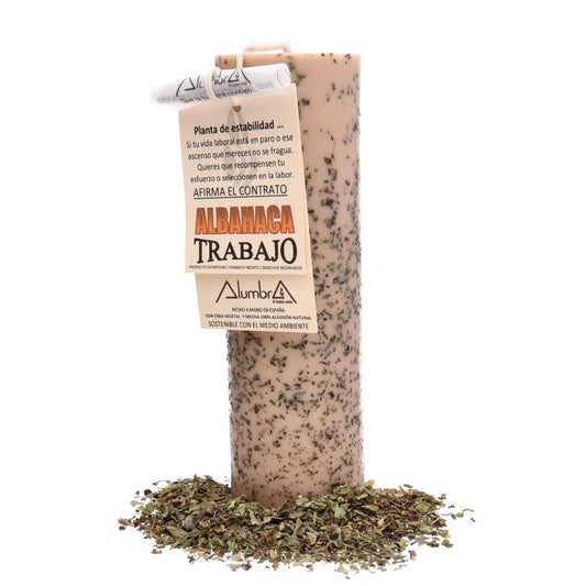 Handmade Basil Candle — Work, Promotion & Professional Recognition