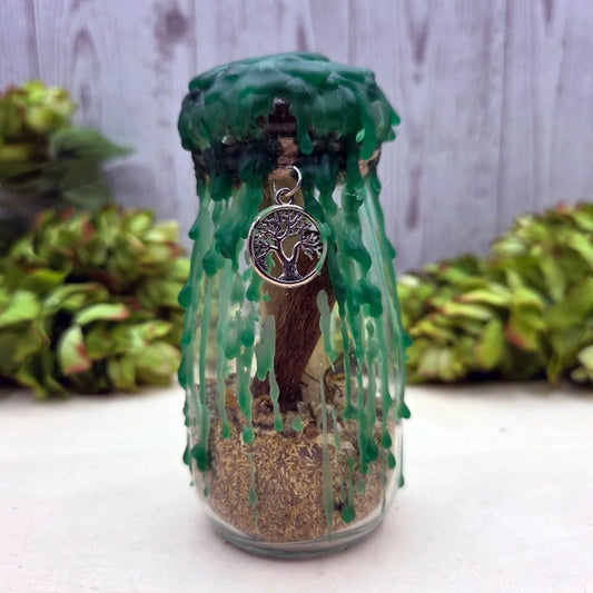 Spell Kit Geldintentie Pot Kit | Wohlstandsritual