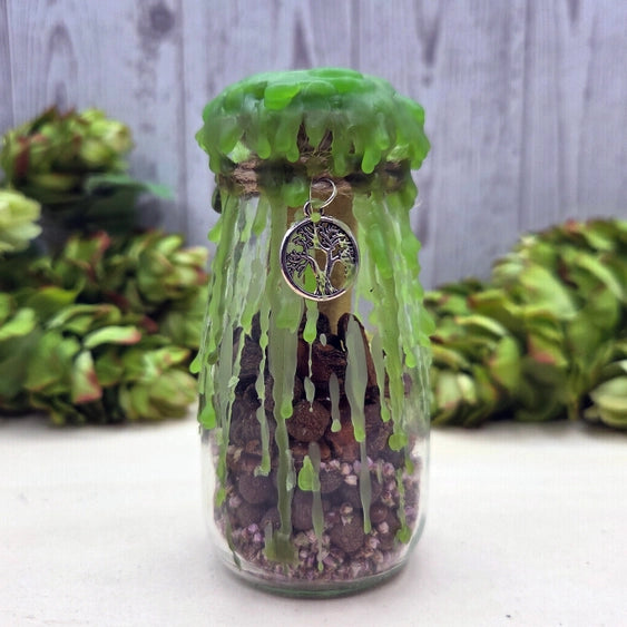 Spell Kit Veel Succes Intentie Pot Kit