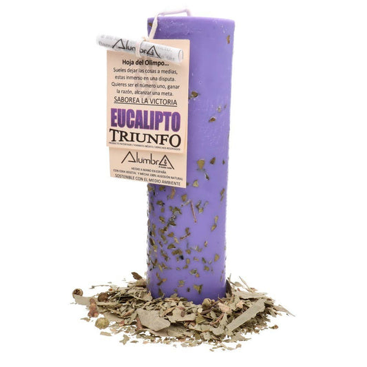 Handmade Eucalyptus Candle — Triumph, Victory & Being Number One